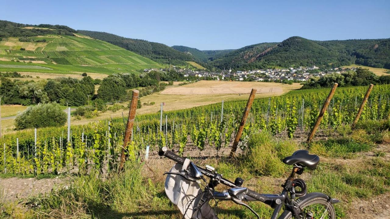 Ferienwohnung Im Moseltal Veldenz Buitenkant foto
