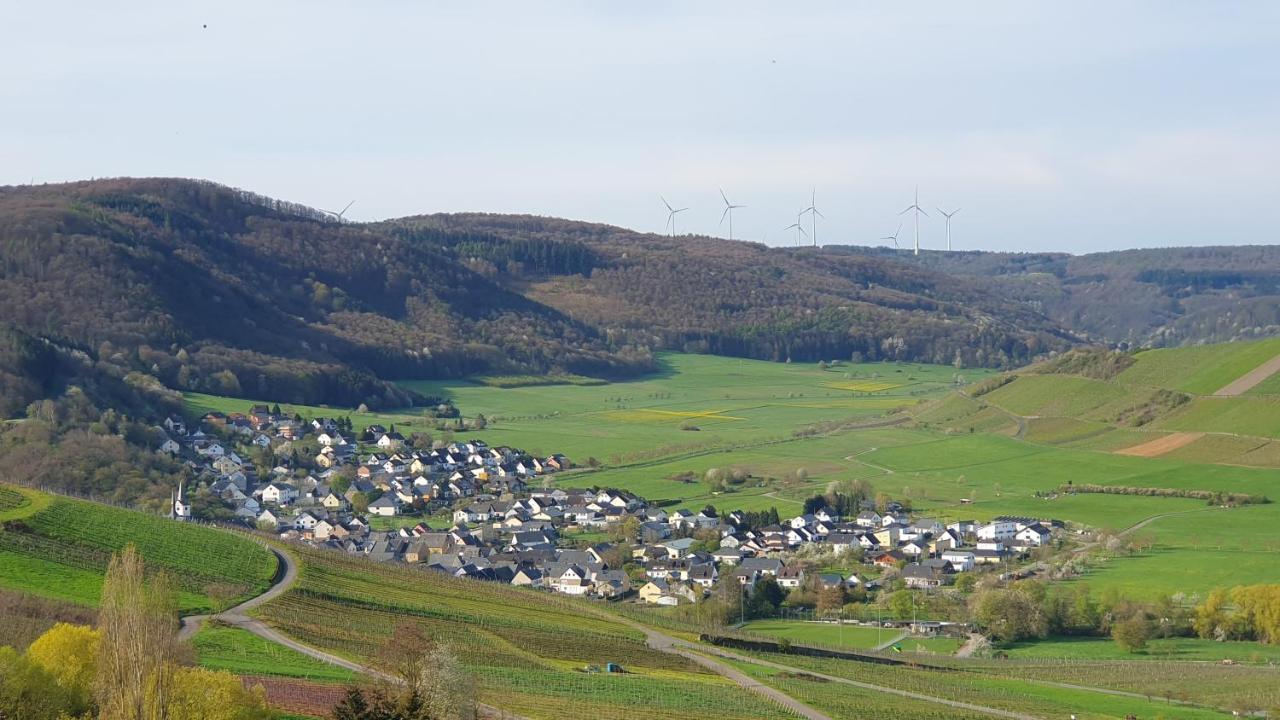 Ferienwohnung Im Moseltal Veldenz Buitenkant foto