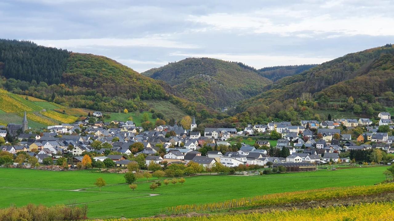 Ferienwohnung Im Moseltal Veldenz Buitenkant foto
