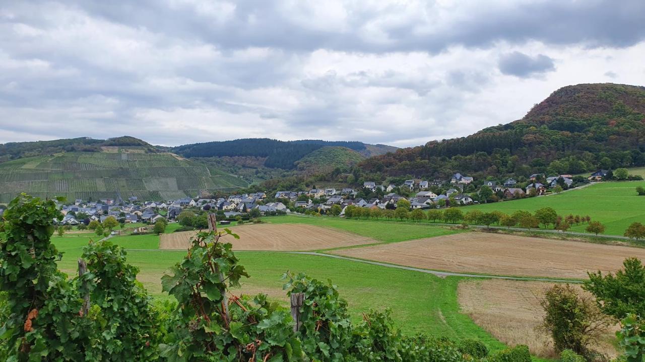 Ferienwohnung Im Moseltal Veldenz Buitenkant foto