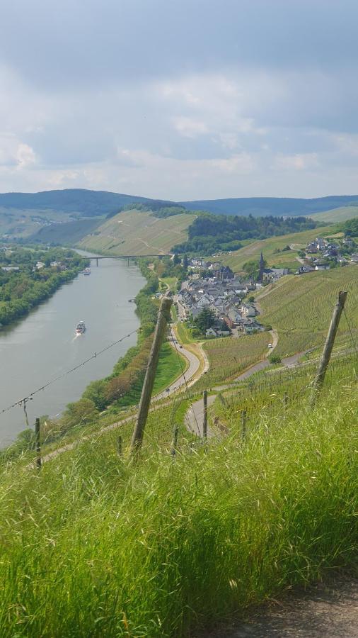 Ferienwohnung Im Moseltal Veldenz Buitenkant foto