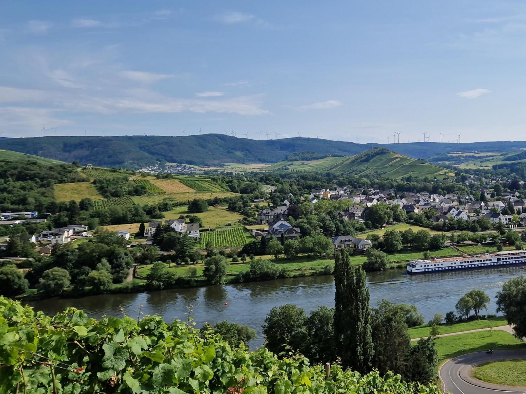 Ferienwohnung Im Moseltal Veldenz Buitenkant foto